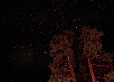 stars from ten-x camp 2