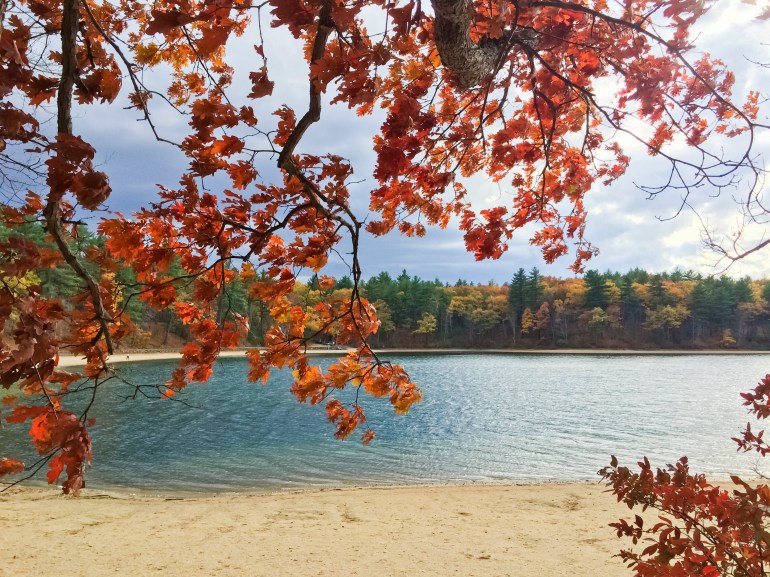 walden3